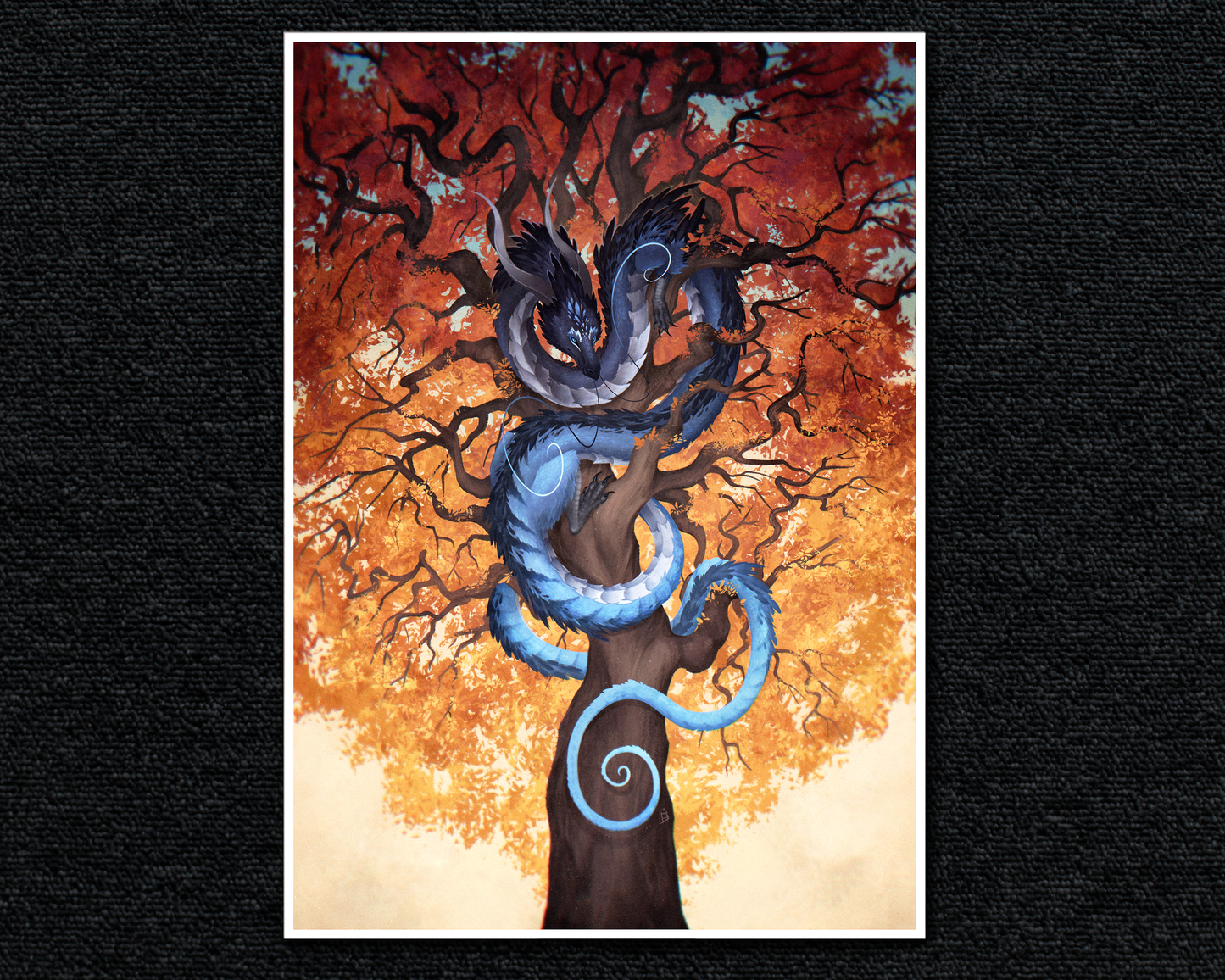 Flame Tree - A4 Print