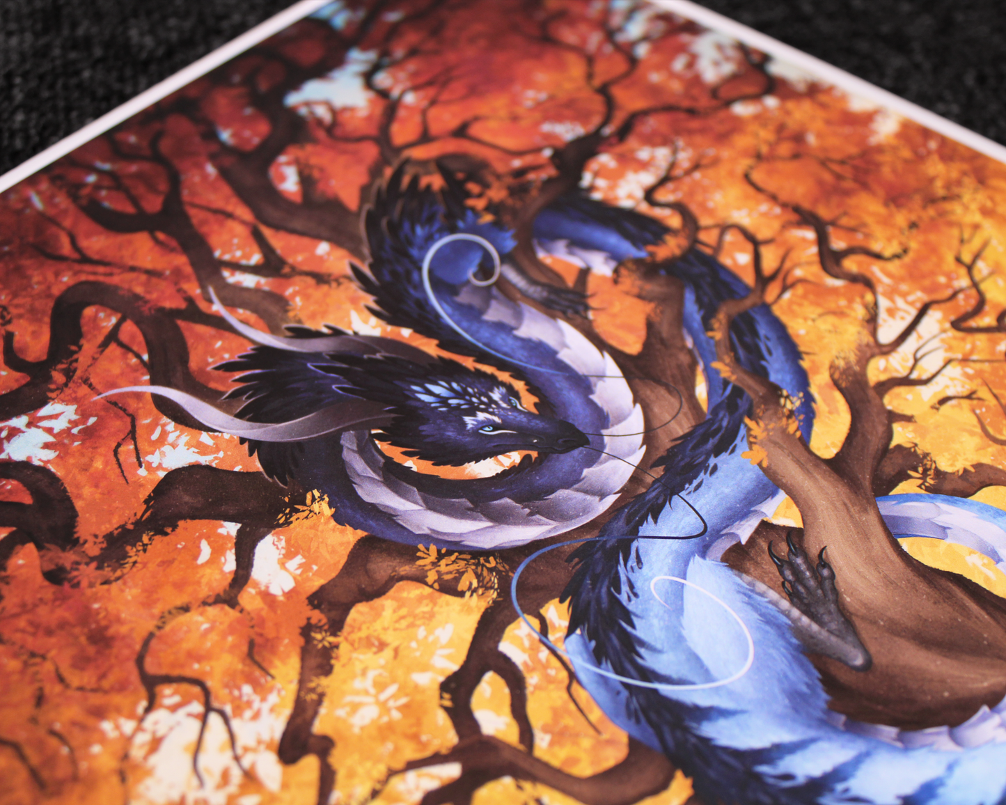 Flame Tree - A4 Print