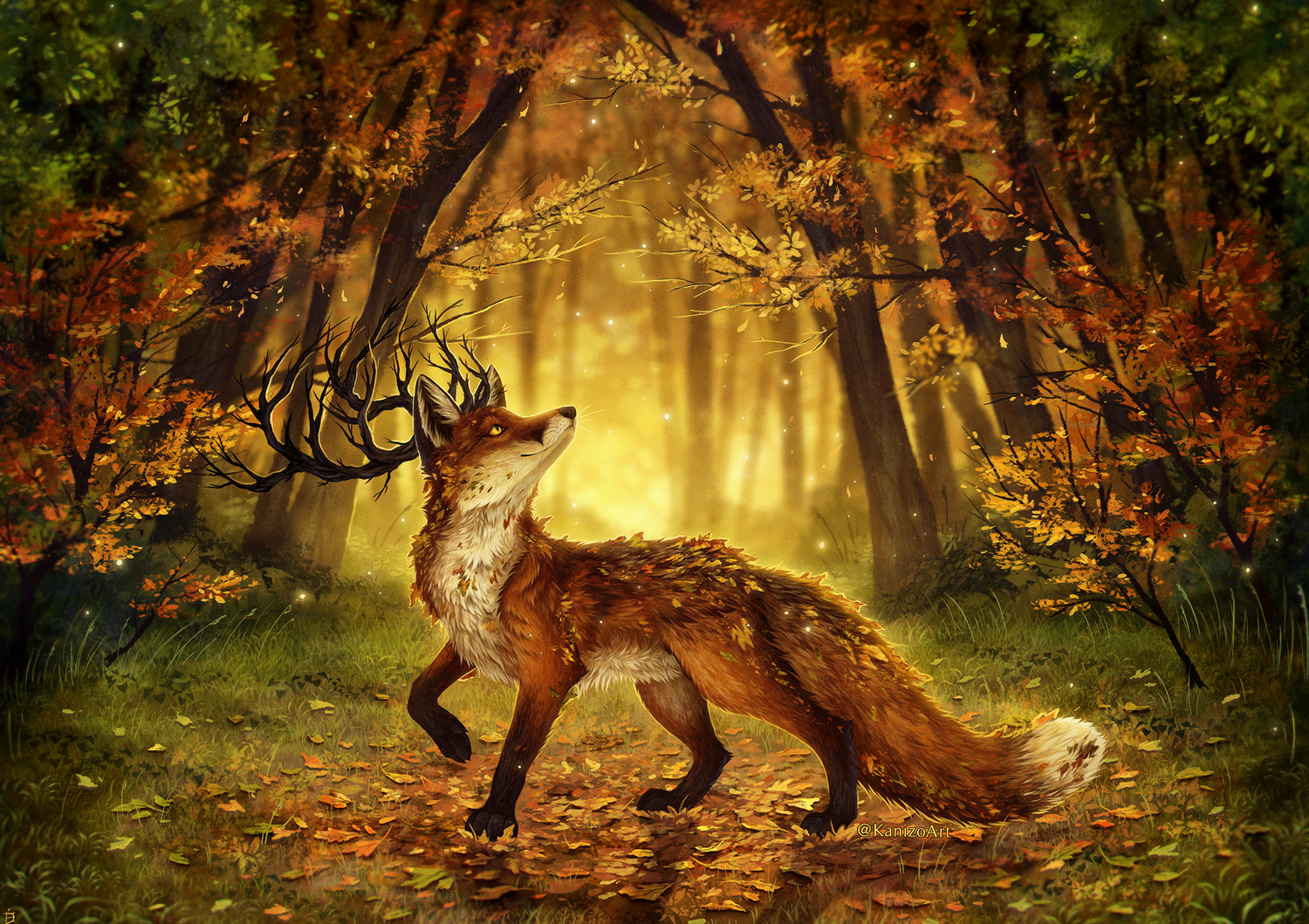 Autumns Apprentice - Fox in autumnal forest