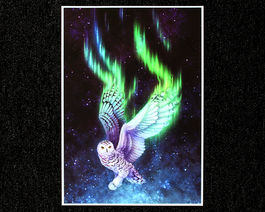 A4 print of a snowy owl flying with a night sky background, an aurora is created with their wings