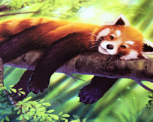 Red Panda - A4 & A3 Print