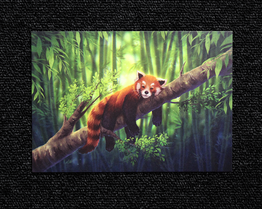 Red Panda - A5 Pearlescent Print