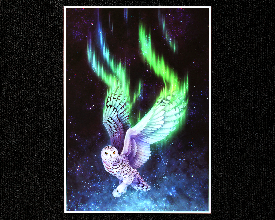 A4 print of a snowy owl flying with a night sky background, an aurora is created with their wings