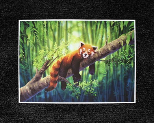 Red Panda - A4 Print