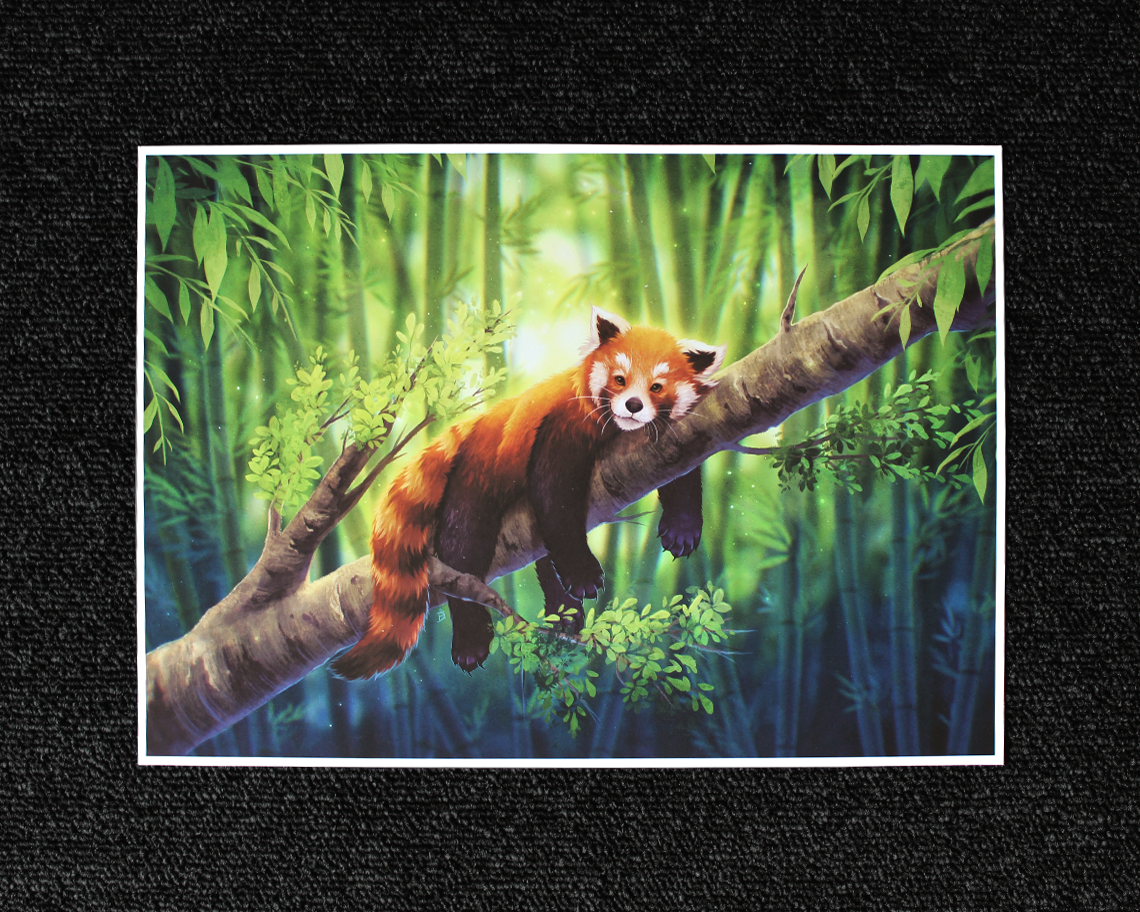 Seconds Sale! - Slightly damaged | Imperfect Prints
