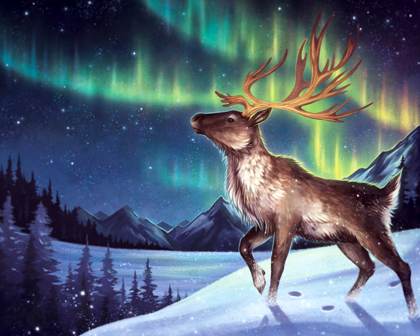 Under the Aurora - 5x7" Blank Greeting Card